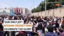 'Our Only Joy': Afghan Cricket Fans Celebrate T20 Glory