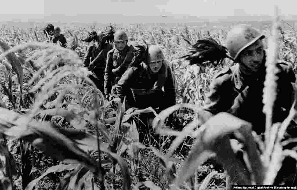Bersaglieri italieni (infanterie ușoară), recunoscuți grație penelor negre purtate în căști, se deplasează printr-un lan de porumb în timpul invaziei naziste a Ucrainei sovietice în 1941. Forțele italiene care luptau în Uniunea Sovietică au fost în mare măsură distruse de Armata Roșie, iar zeci de mii de soldați italieni au murit în captivitate sovietică.