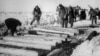 Image result for Грыб