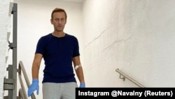 Алексей Навальный ушул тушта Германияда дарыланып жатат. 