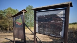 Таблите пред природниот резерват Езерани оштетни од пожарот кој пред неколку дена го зафати преспанското крајбрежје