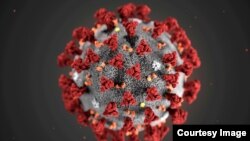 Numărul cazurile de Covid-19 au început să crească în România.