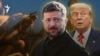 Уладзімір Зяленскі, Дональд Трамп, каляж