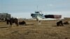 Иркутский поселок Большие Коты на берегу Байкала
