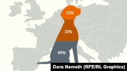 Kutyatartás Európában és itthon